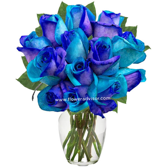 Blue Roses Bouquets FlowerAdvisor US
